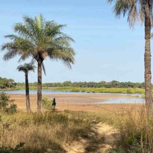 Circuit VIP Casamance