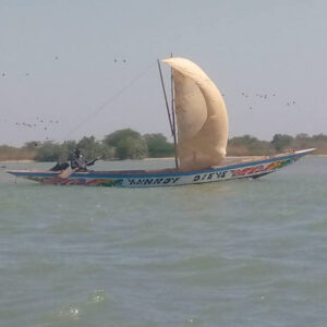 Tour en l'ile Pirogue