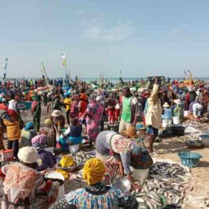 Arrivée des pêcheurs à Mbour en demi-journée