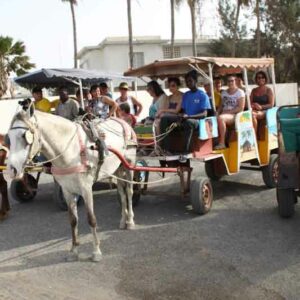 Tour de la ville en calèche