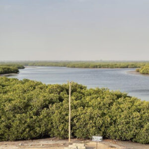Sine Saloum