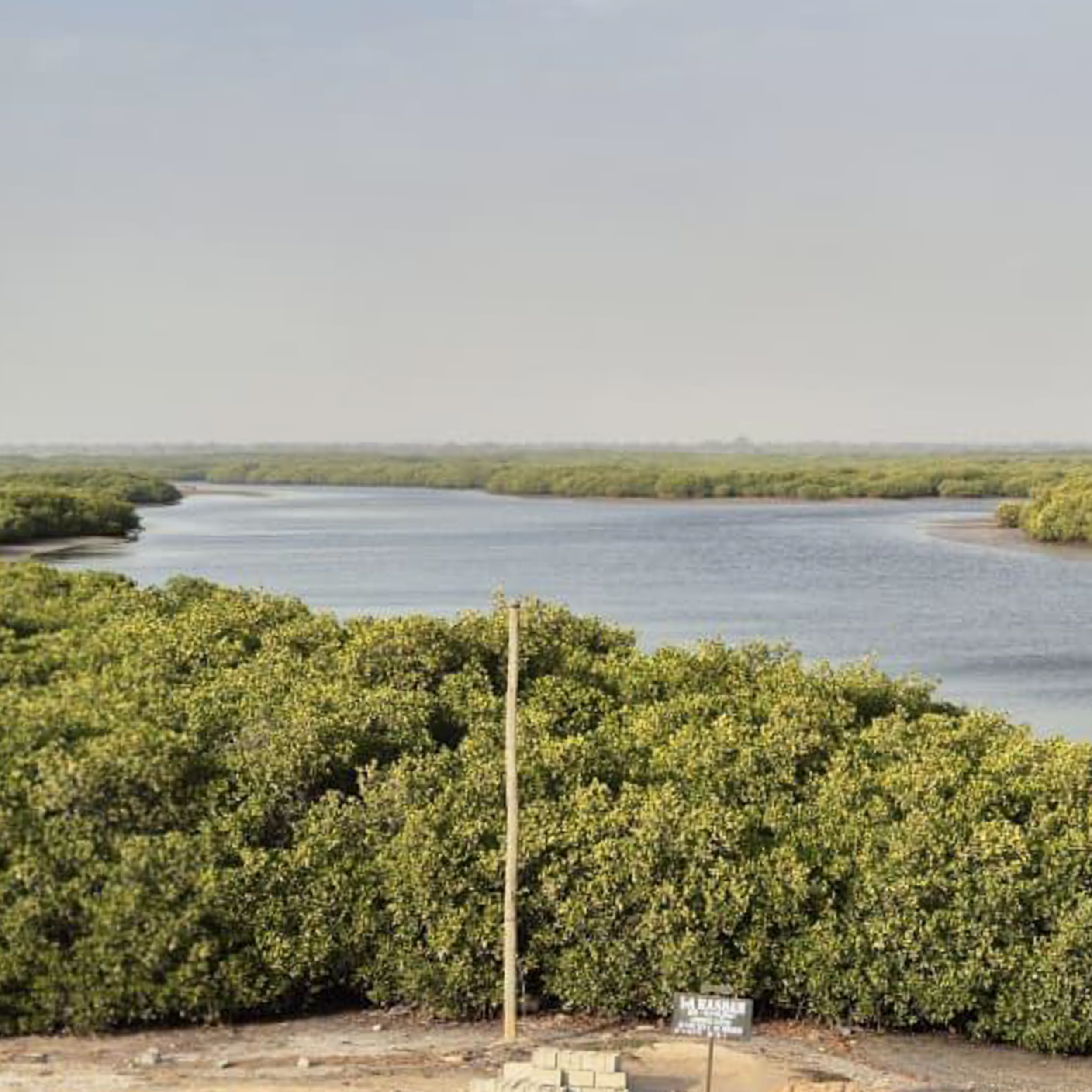 Sine Saloum